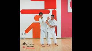 Karate (shotokan) self-defence against arm grabs - that are easy to learn - Usu ‍️