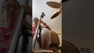 Double Bass Day 2 Catalan Folk Song: The Birds #bass #bassmusic #doublebass #doublebassist