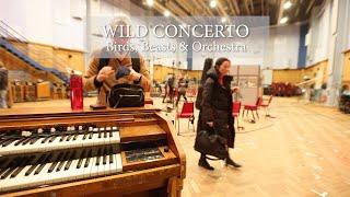 Stewart Copeland | Wild Concerto | Teaser 3