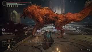 Star Lined Sword vs Red Wolf Of Radagon l Elden Ring