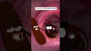بعد از خوردن قهوه چه اتفاقی می افته (قسمت ۲)