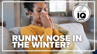 Weather IQ: Why cold air causes a runny nose