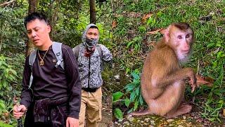 Dad called out in vain when saw no sign of Monkey Kaka appearing