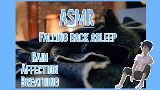 ASMR: Falling Back Asleep With You Roleplay [Rain/Affection/Breathing]