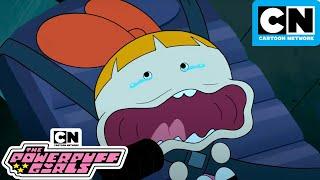 Blossom goes Hyper Speed | New Powerpuff Girls Compilation | Cartoon Network