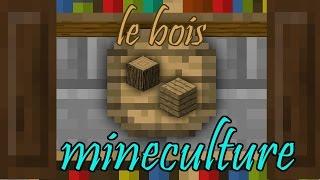 mineculture - le bois