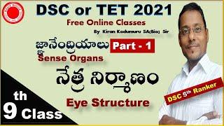 Sense Organs EYE|DSC or TRT School assistant(Biology),TET best free Online classes By Kiran Kodumuru