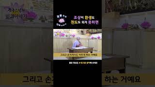 [환생 이야기 #2] 조상이 환생도 천도도 되지 못하고 있다면