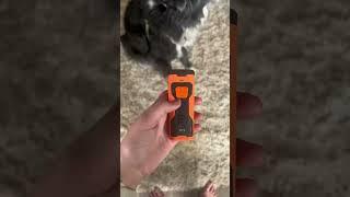 NPS 2023 Release Dog Barking Control Devices - Professional Anti Barking Device