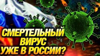 Роспотребнадзор тщательно отслеживает ситуацию с распространением вируса Марбург