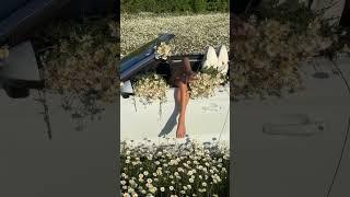 Высшие Силы говорят пора выходить на свежий воздух мысли придут новые напишешь книгу жизни.