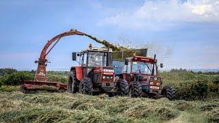 Silage 2024 - Old School - Jf 900 - Fiat 100-90 & Zetor 102-45