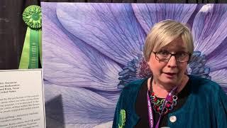 The Quilt Show: Andrea Brokenshire and "Blue Anemone"