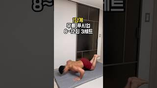 푸시업 한개도 못하는 사람 이거부터 따라해보세요 (1-4단계)