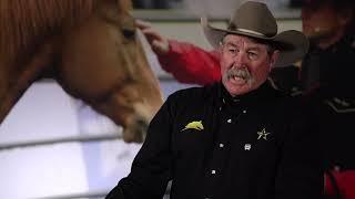 PAT PARELLI ON ACCEPTING THE RIDER | Road to the Horse 2022