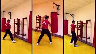 Wing Tsun Holzpuppe und Sandsack