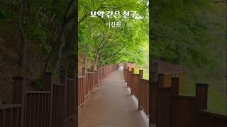이찬원 보약같은친구 엄마 등산이 보약 아카시아꽃 보면서 힐링 #트로트 #트롯 #미스터트롯