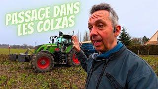 C’est parti pour les engrais sur les colza !