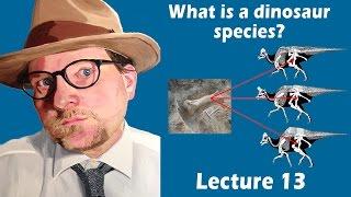 What is a dinosaur species?