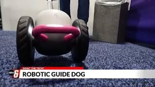 What the Tech? Robotic Guide Dog