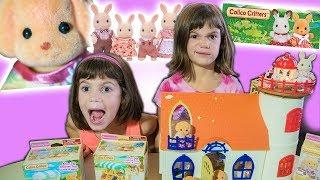 Crazy Twins Unbox and Review NEW CALICO CRITTERS toy!