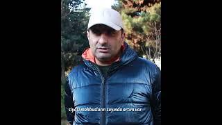 ANONS - COP29-da etirazlardan Bakının reaksiyasına qədər #shorts #shortsvideo