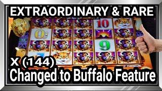 ️Extraordinary Jackpot in´´Changed  to Buffalo´´- Buffalo Revolution Slot