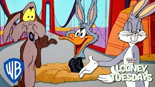 Looney Tuesdays | Great Tricksters Think Alike | Looney Tunes | @wbkids