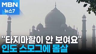 "타지마할이 안 보여요"…인도 최악 스모그에 학교도 문 닫아 [MBN 뉴스7]