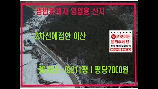 [영월부동산TV] 단양임야/임업용산지/임업후걔자 / 영월부동산 / 영월토지 / 영월토지매매 / 영월중앙부동산