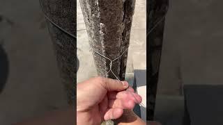 This Wire Works Perfectly!