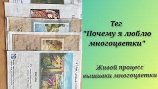 Тег Почему я люблю #многоцветки?" Живой процесс вышивки #хаед