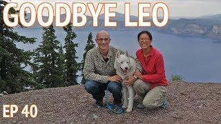 A Tribute to Leo, Our Siberian Husky Dog | We’re the Russos