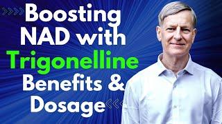 Novel NAD Booster Trigonelline | New Product Released | Benefits & Dosage