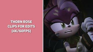 Thorn Rose || Clips For Edits || [4K/60FPS]