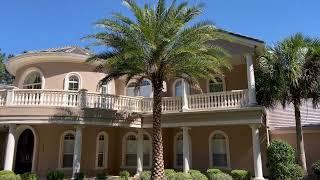 Sylvester Palms/Large Palms and Trees/The Tree Planters Serving Florida for 50 Years