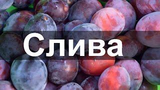 А ТЫ ЗНАЛ как Бесценна СЛИВА для твоего организма. СЛИВА ПОЛЬЗА и ВРЕД