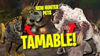 NEW UNIQUE TAMABLE PETS For Hunters In The War Within Pre-Patch