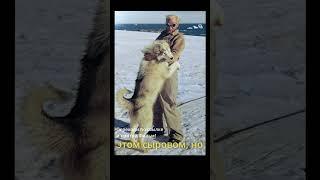 Удивительная История Ученого!
