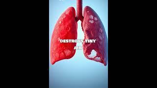 Smoker vs Healthy Person — Shocking Visual Comparison
