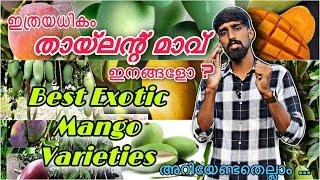 Best thailand mango varieties  | ഇത്രയധികം തായ്ലന്റ് മാവ് ഇനങ്ങളോ ? അറിയേണ്ടതെല്ലാം