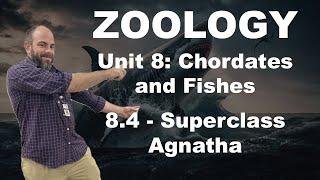 Zoology - 8.4 - Superclass Agnatha