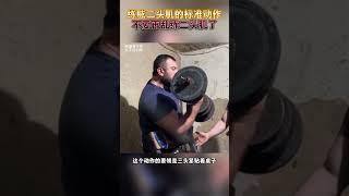 二头肌总是练不大？你需要停下来思考一下了#健身 #健身知识 #健身教学