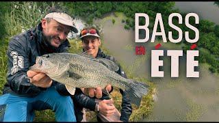 Sortie Bass avec Sylvain Legendre et Pierre #foxrage #legendre