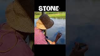 STONE #life #happy #farming