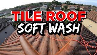 Tile Roof Soft Wash With 12V Soft wash System