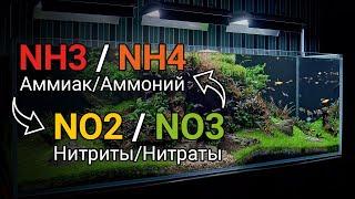 Аммиак NH3 и аммоний NH4, нитриты NO2 и нитраты NO3 в воде аквариума. Азотный цикл в воде.