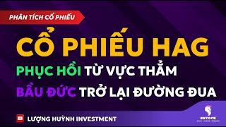 PHÂN TÍCH CỔ PHIẾU HAG: BẦU ĐỨC TRỞ LẠI ĐƯỜNG ĐUA | Đầu tư chứng khoán | Chứng khoán hôm nay