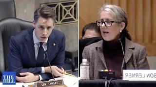 "You Deny?' Sen. Hawley Leaves Witness Speechless During Intense Questioning