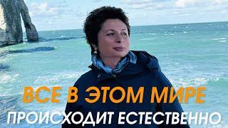 Все в этом мире происходит естественно | Елена Ачкасова